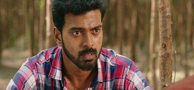 vlcsnap-2537-04-18-11h13m44s972