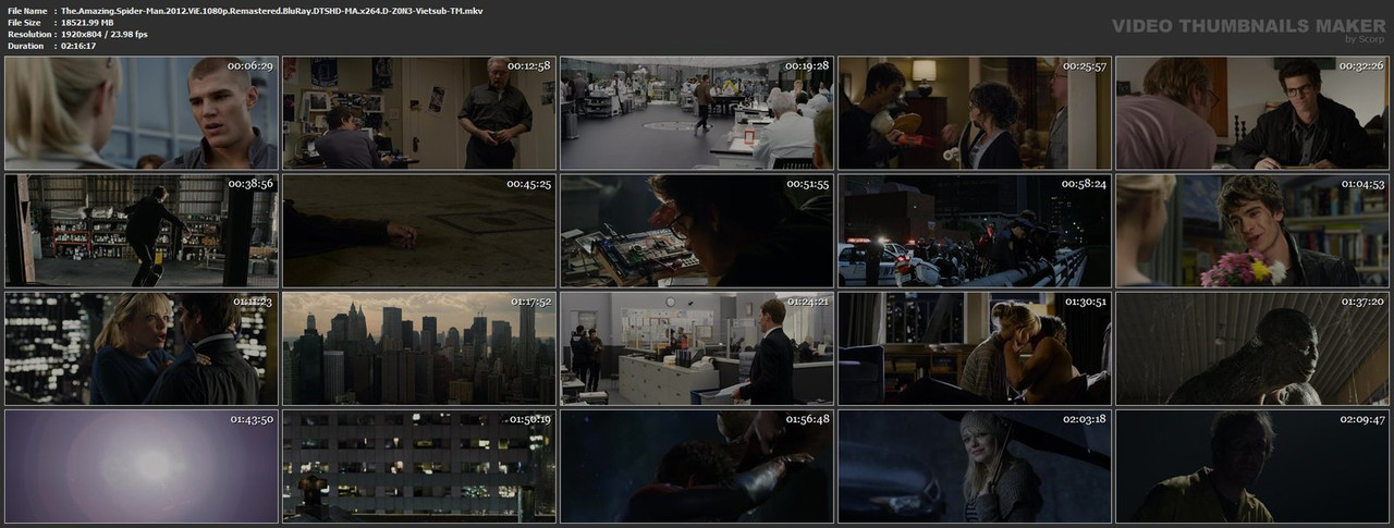 The-Amazing-Spider-Man-2012-Vi-E-1080p-Remastered-Blu-Ray-DTSHD-MA-x264-D-Z0-N3-Vietsub-TM-mkv.jpg