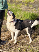 IMG_20230417_005446_067