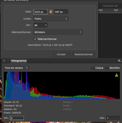 [Image: Capture-d-cran-2021-02-17-10-59-15.png]