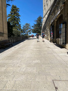 photo 2026 03 25 15 51 15