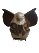 Picsart_25-10-22_21-09-48-507