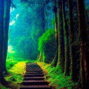 29595334_198764894233610_7750220301280739302_n_198764894233610