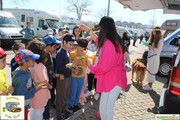 IMG-4486