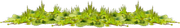 Peacock-Dreams-MM-Element-114