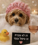IMG-1938