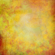 Tangerine-Winter-Kit-8