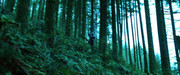 twilight-movie-screencaps-com-6143