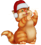 Christmas-in-Forest21