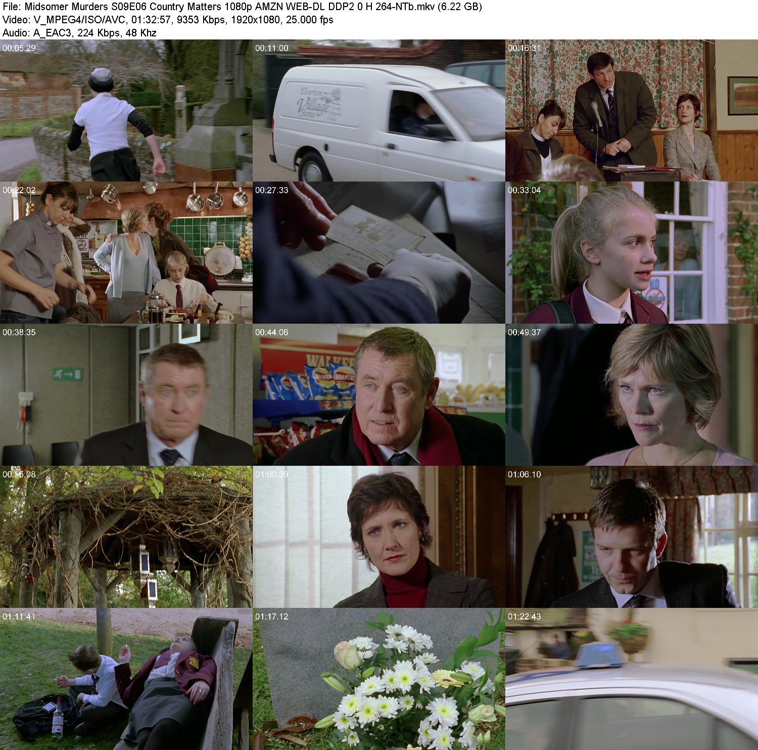 [Image: y1xraq8bki20.jpg]