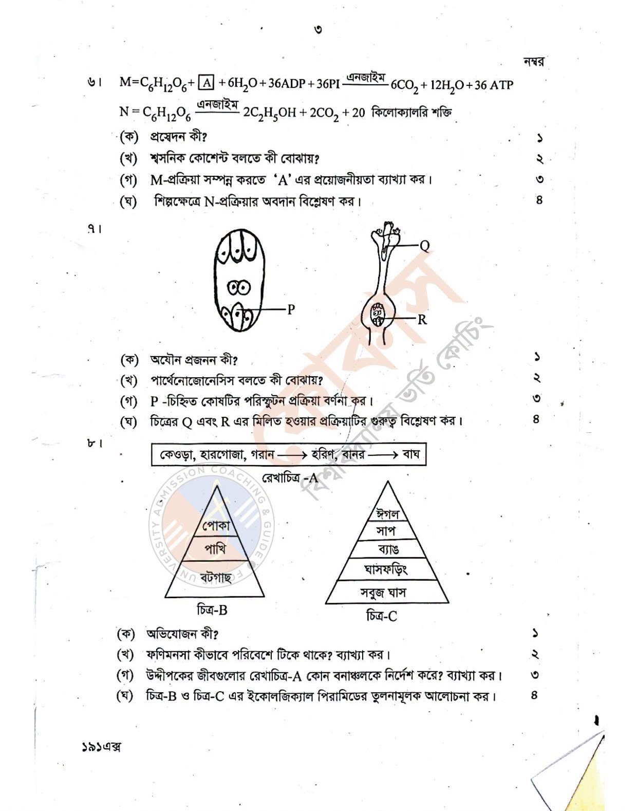 Alim Biology MCQ Solution 2026 5