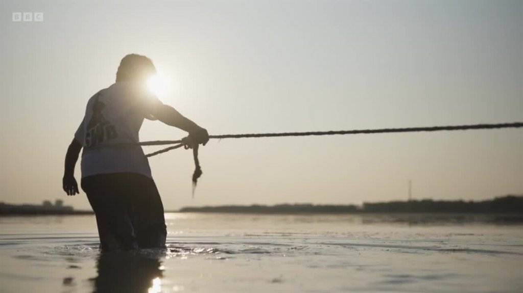 [Image: 3qk62h3epspd.jpg]