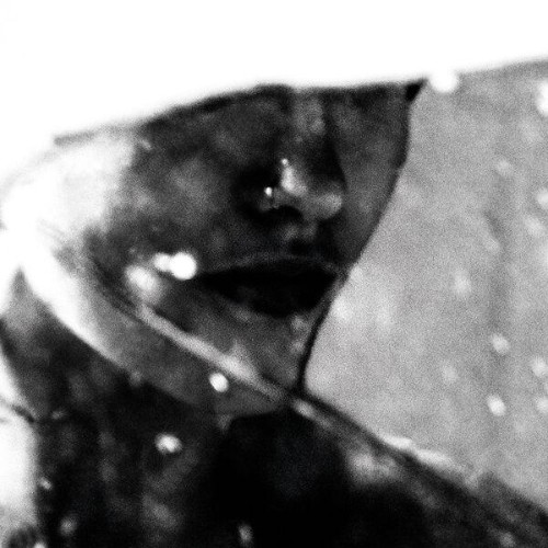 Purgate - Leavings (2026)