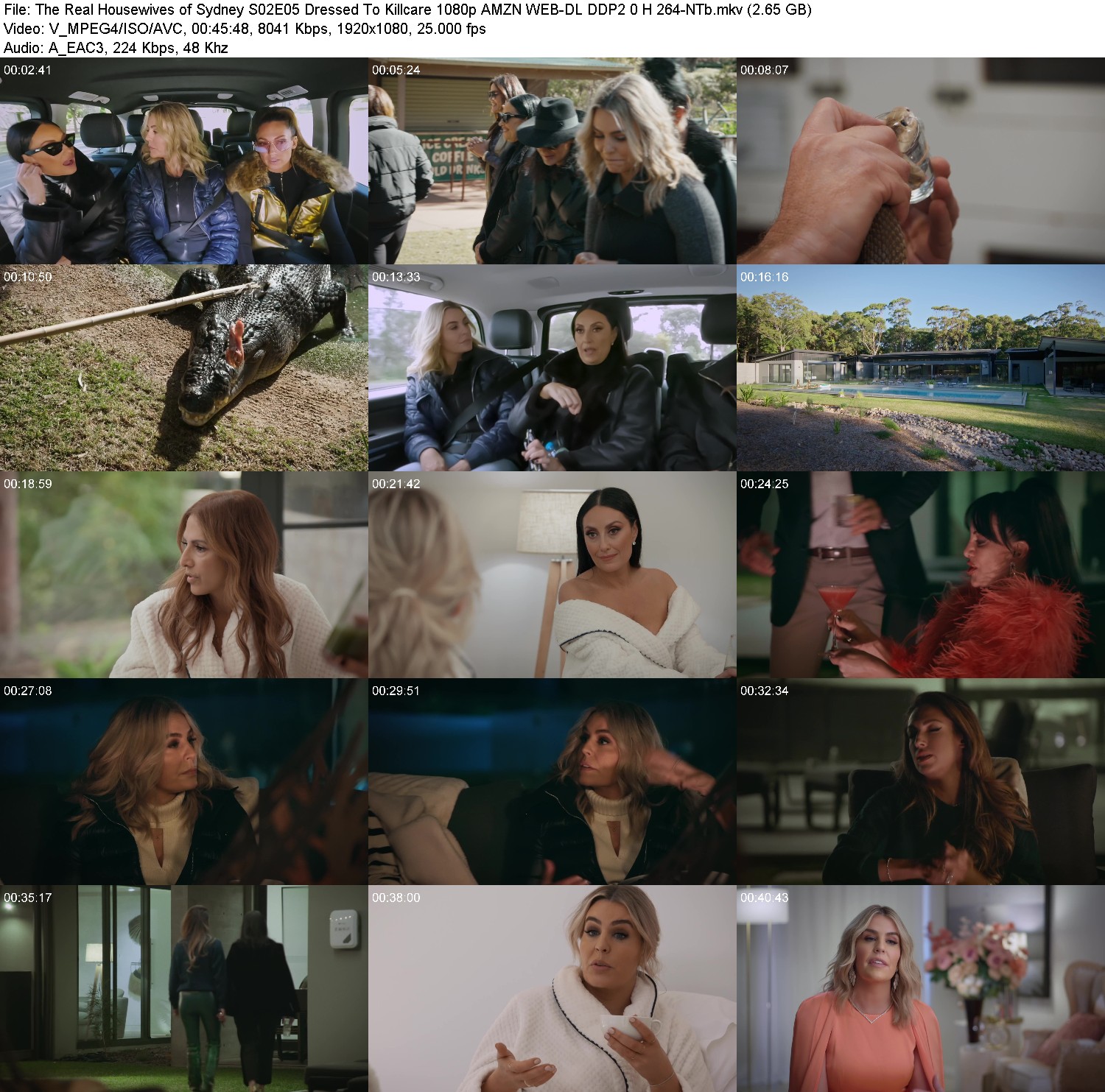 [Image: 0ffc2etd12qb.jpg]