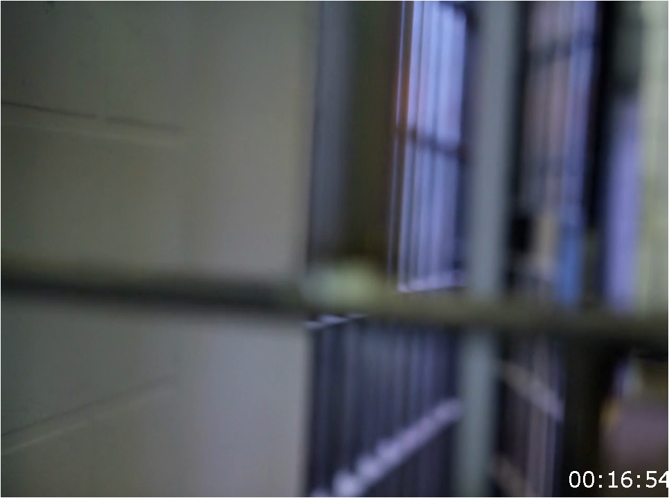 [Image: 36fuic6of9lj.png]