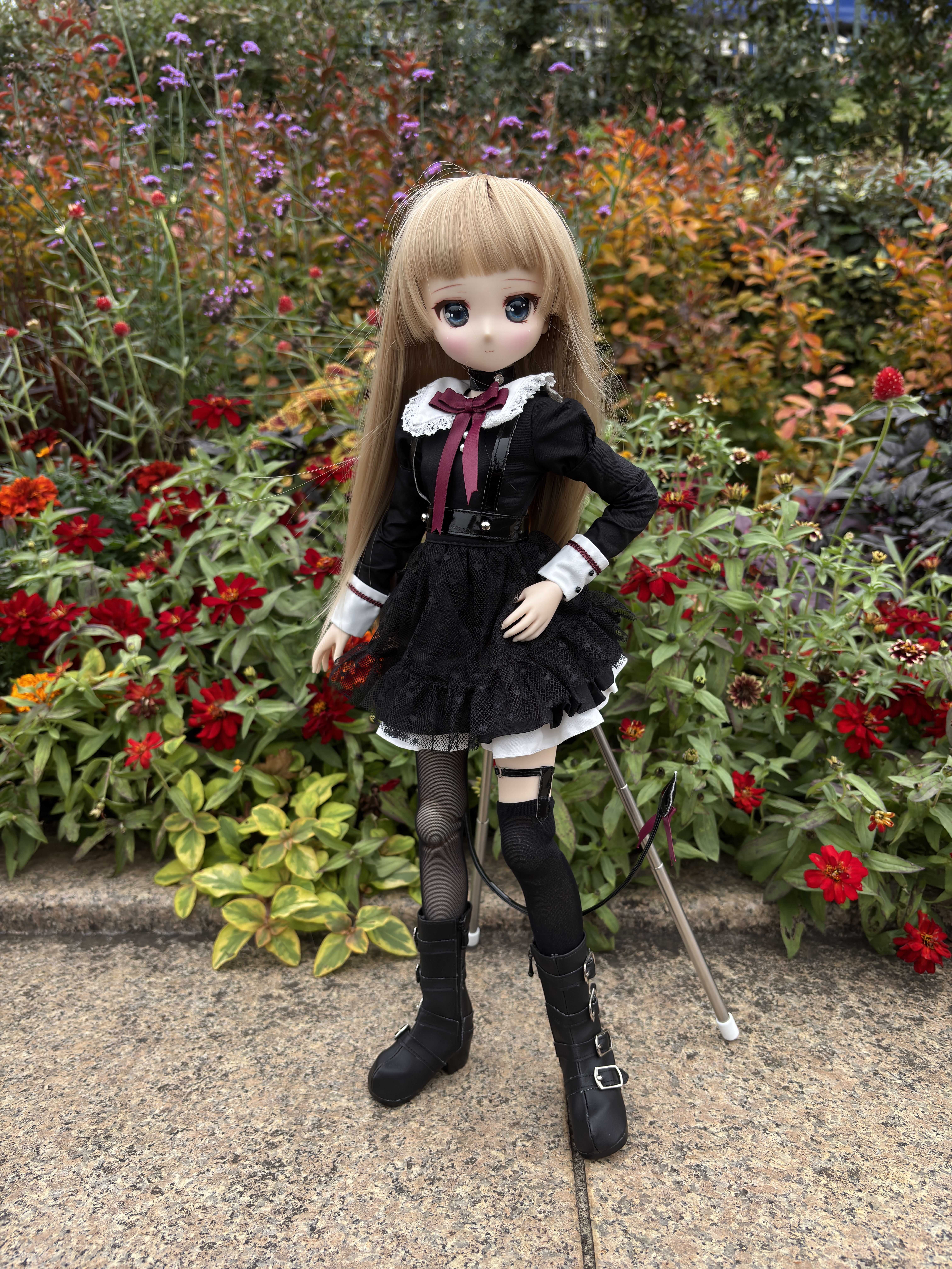IMG-1699.jpg