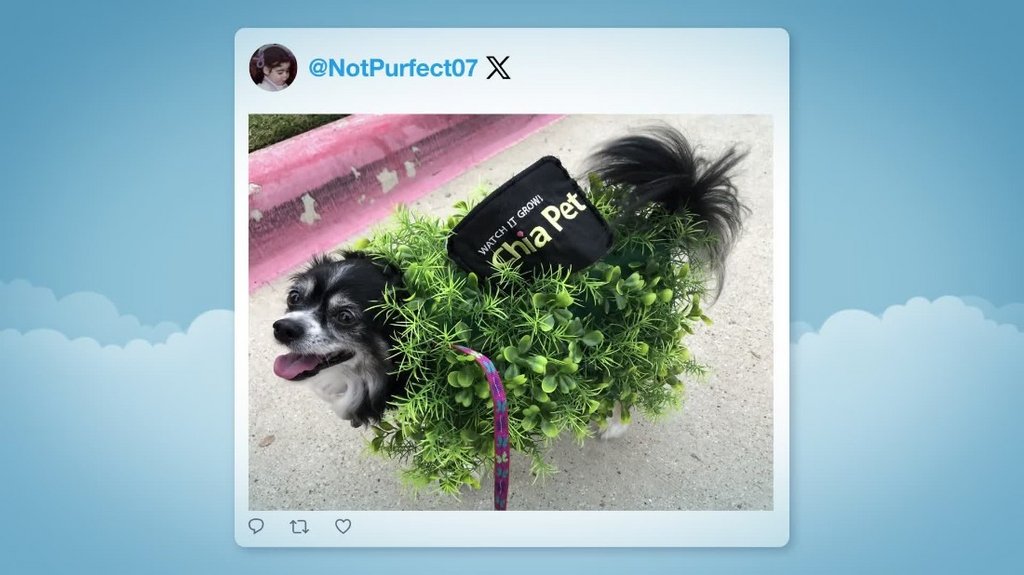 [Image: bzgmwv8h5q29.jpg]