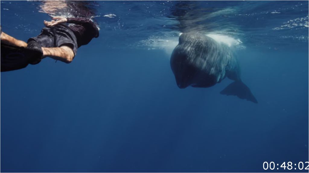 [Image: wc4y8gzy19ky.png]