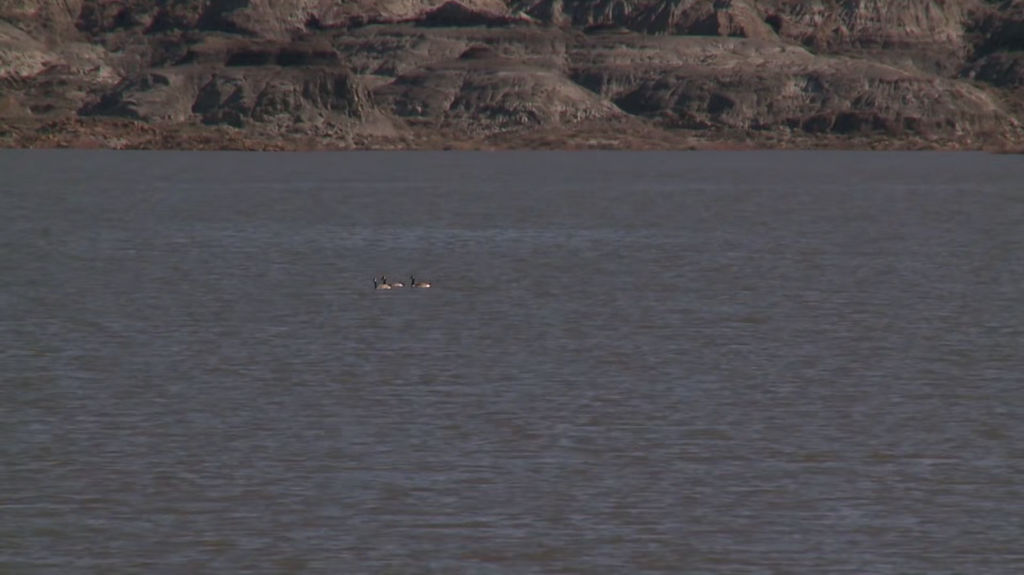 [Image: fp9pwh6u8iz4.png]