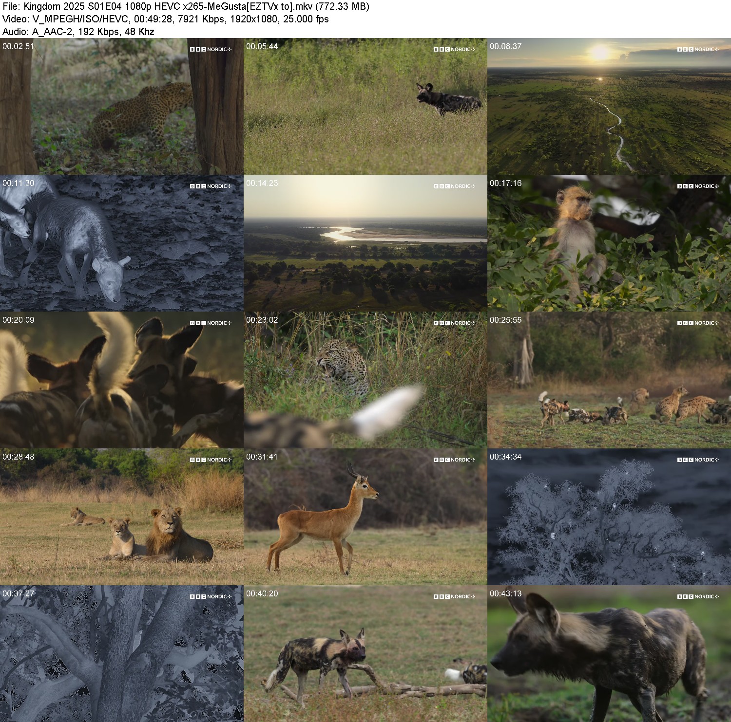 [Image: g899tost6zlp.jpg]