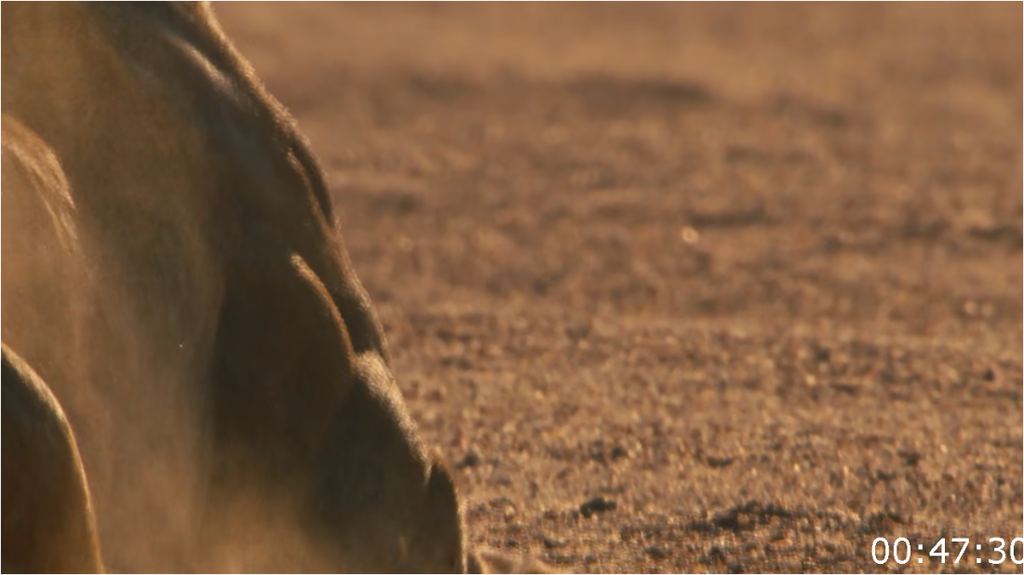 [Image: cw85vp5e8ilw.png]