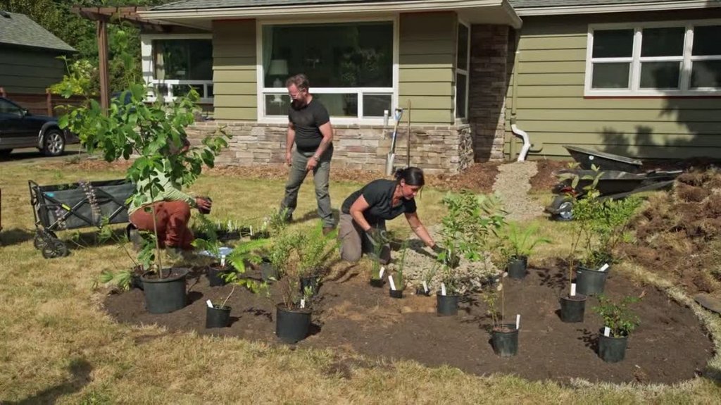 [Image: r987jvg9dwao.jpg]