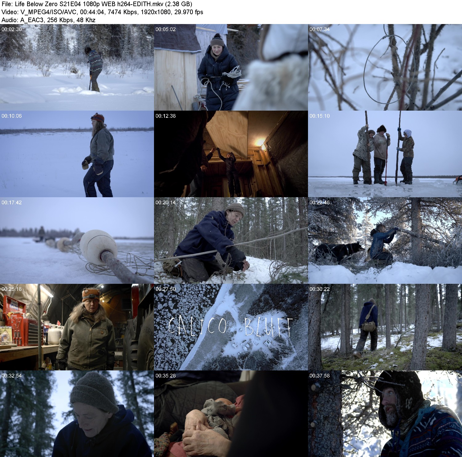 [Image: f6ye97qpeb4y.jpg]