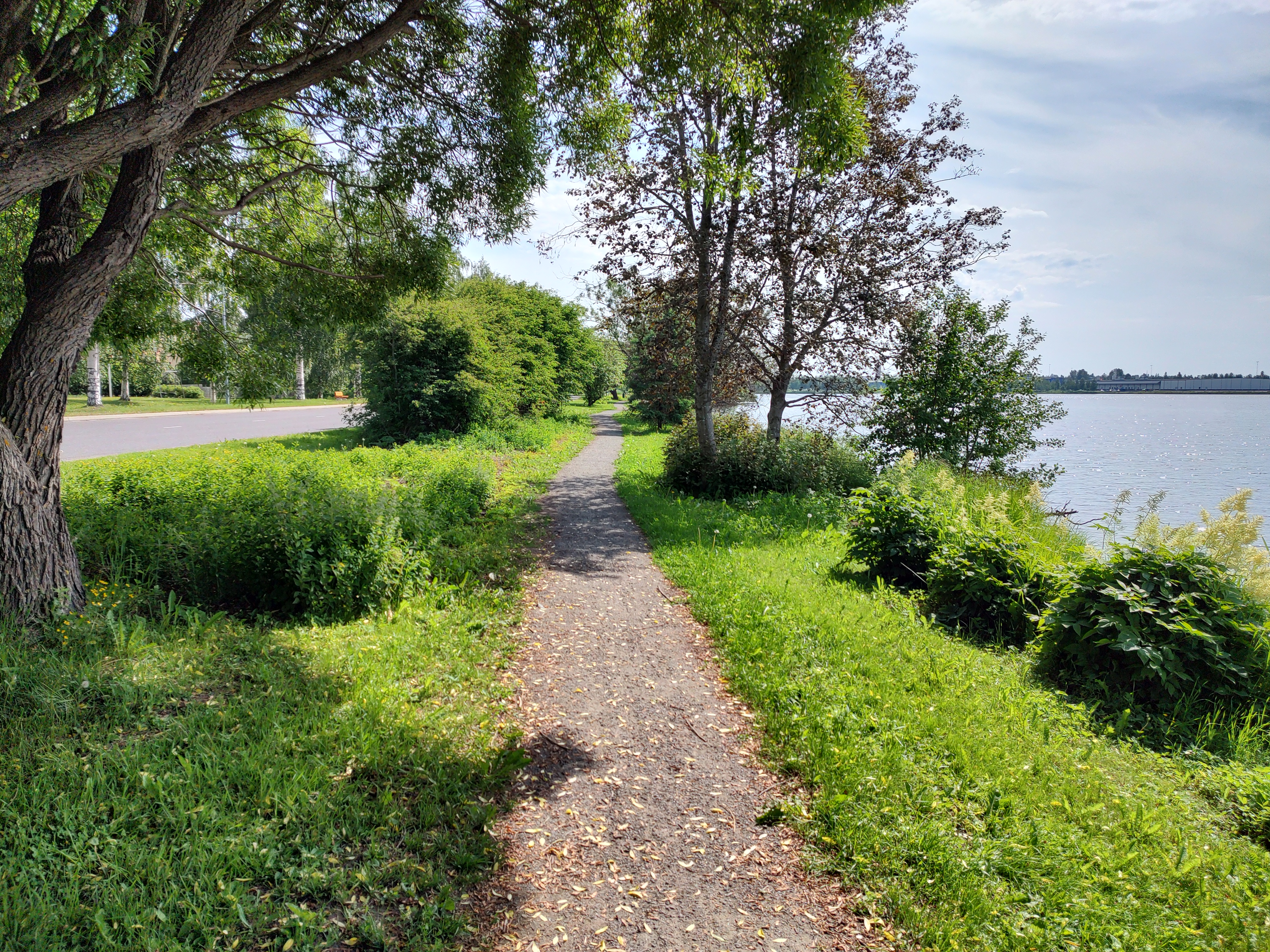 IMG-20230627-142455433-HDR.jpg