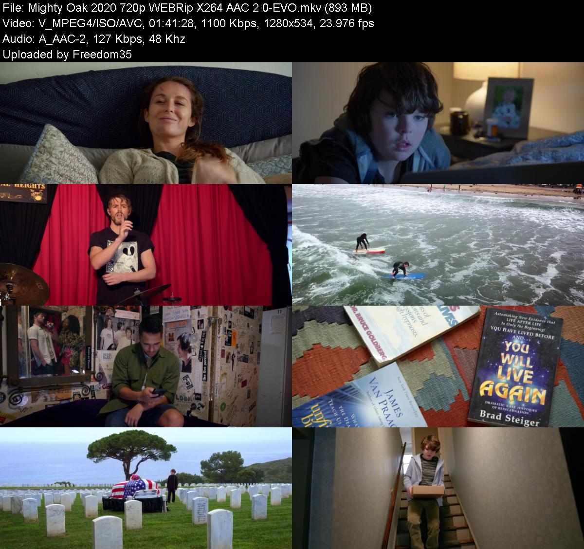 Mighty-Oak-2020-720p-WEBRip-X264-AAC-2-0