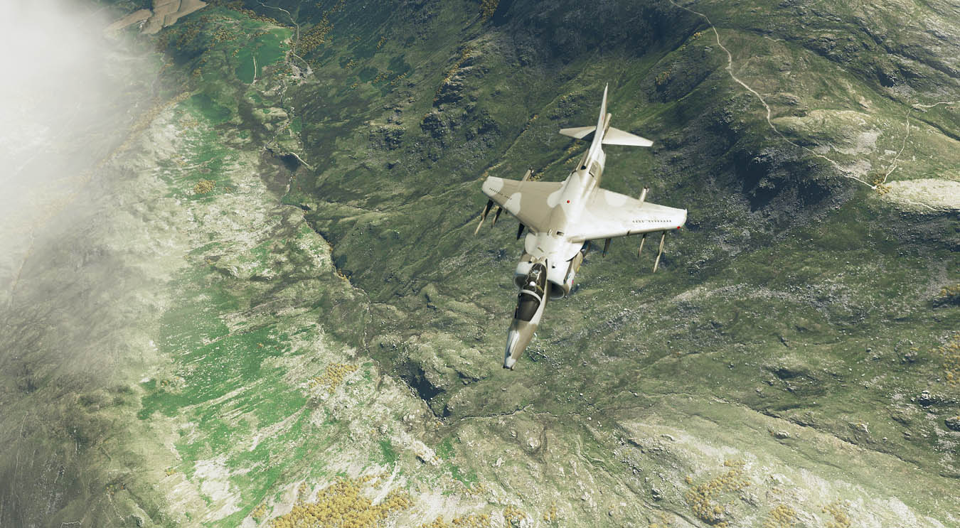 Harrier-Scotland-01-1350.jpg?dl=1