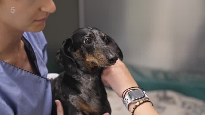 [Image: f3v9jjn01qvf.jpg]