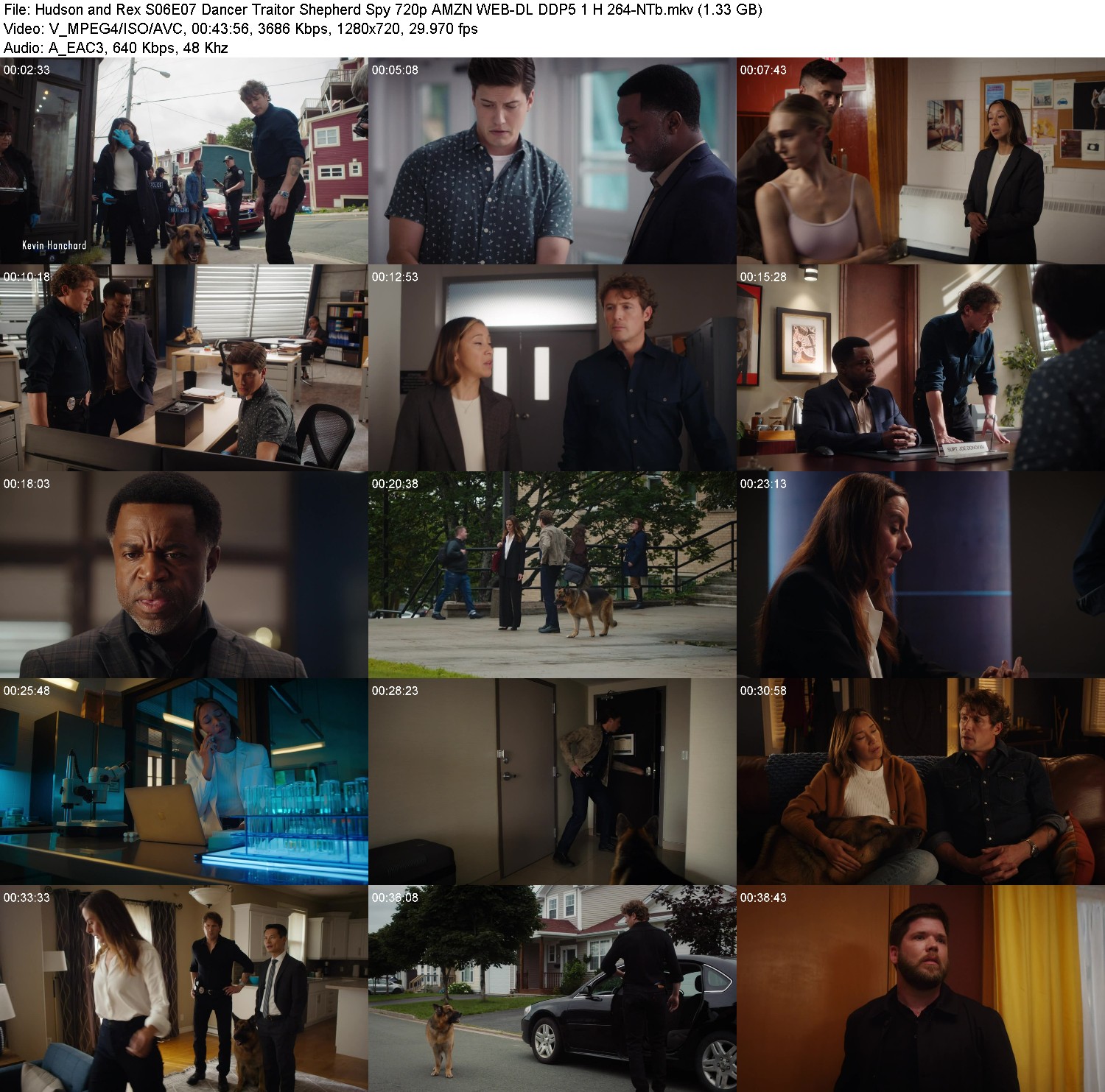 [Image: 81iyb3p0tlsj.jpg]