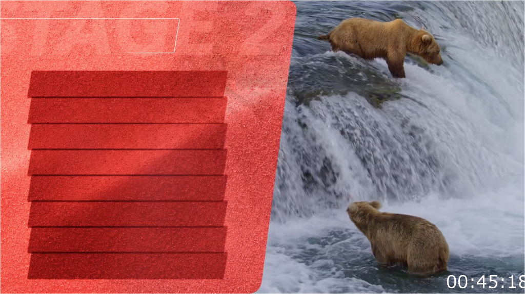 [Image: hb4u8z2xqft9.png]