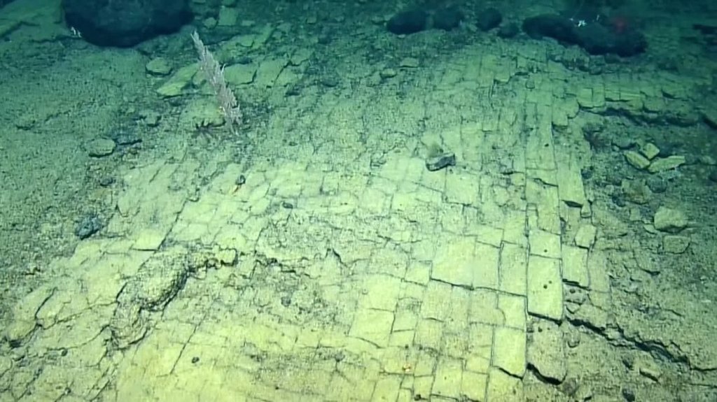 [Image: wt5a4tt44cbz.jpg]