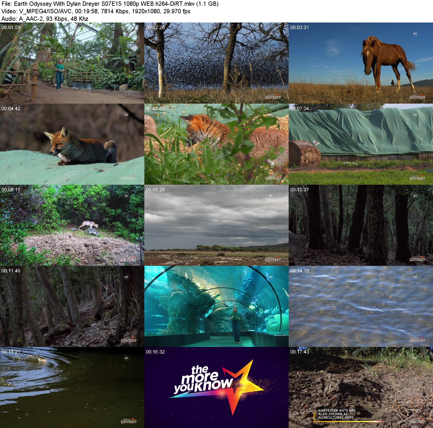 [Image: zoqmul70d25i.jpg]