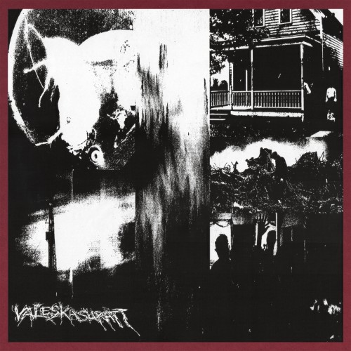 00-valeska-suratt-beyond-recognition-web