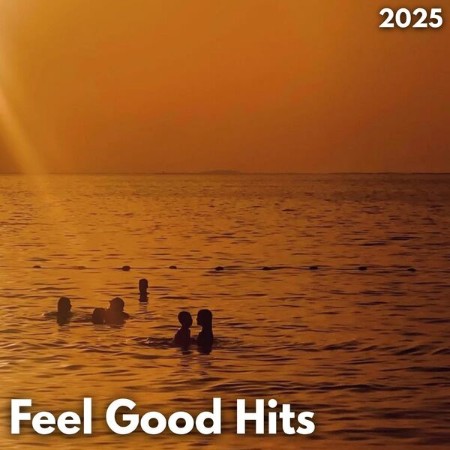 VA - Feel Good Hits (2025) (2025)