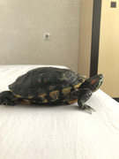 EC2A82C6-551A-467E-A3CC-7E8C36F12D1F