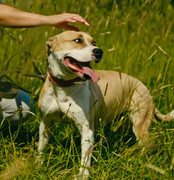 Screenshot_20230627_234208_Gallery