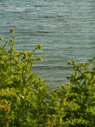 photo 17 2026 01 10 16 00 05