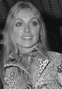 sharon-tate-md47