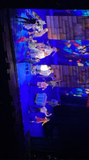 IMG-9744