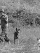 ADP Free party Balscha 2009 007