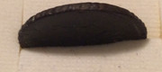 Poluschka 1750 Rusia Elisabet 202-E6-DFE-F530-4242-BD0-A-1-AB8785-CF907