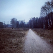 IMG_20141125_160633_resize