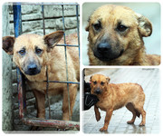 Be-Funky-collage-20.jpg&key=a59385f5d153