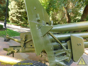 DSCN6746
