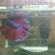 IMG_20190710_121917_596