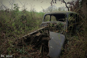 IMG-8540.jpg
