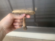 71C3AC44-6B7B-42AE-89D3-180B10A42BD9